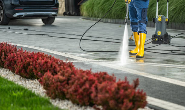 Best Pressure Washing Siding  in , TN